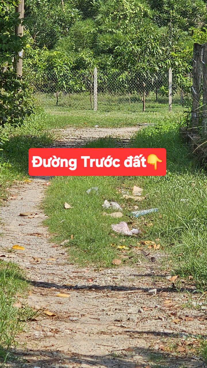 Vũ Gia Bất Động Sản Thổ Cư (3)